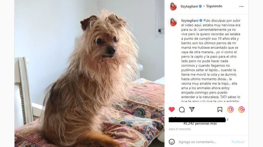 El posteo de Lizy Tagliani sobre su perrita fallecida