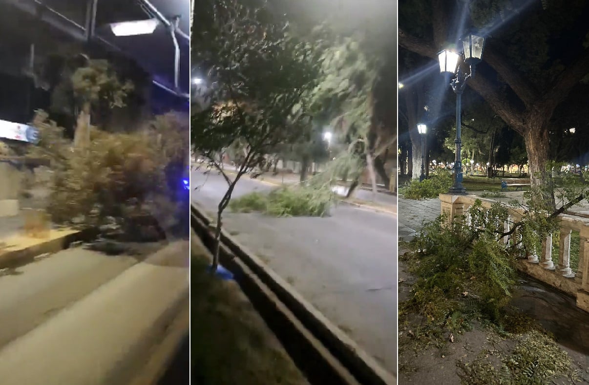 Viento Zonda en Mendoza esta madrugada de viernes (Capturas de videos)