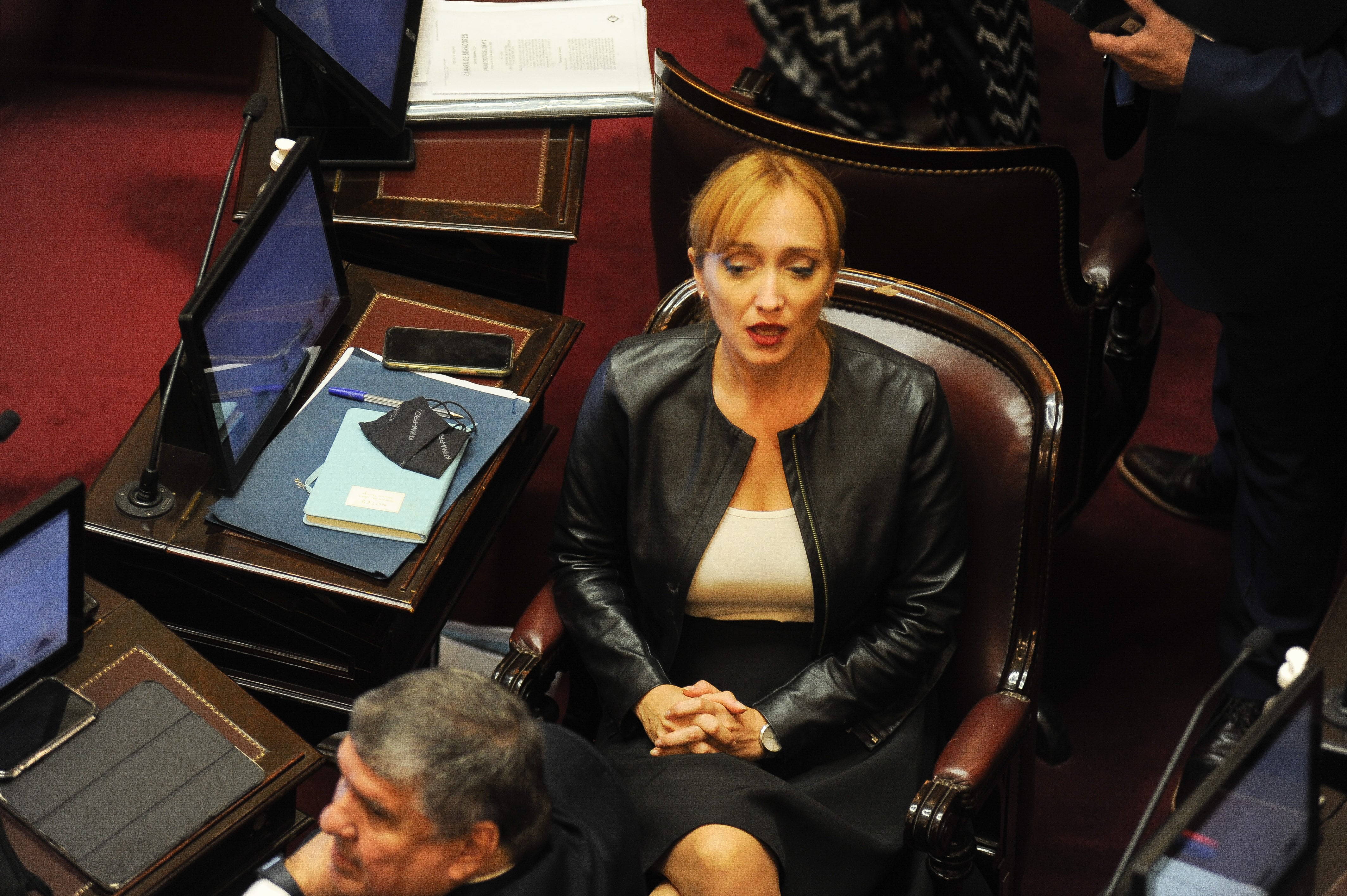 Anabel Fernández Sagasti, vicejefa del bloque del Frente de Todos (Foto: Federico López Claro)