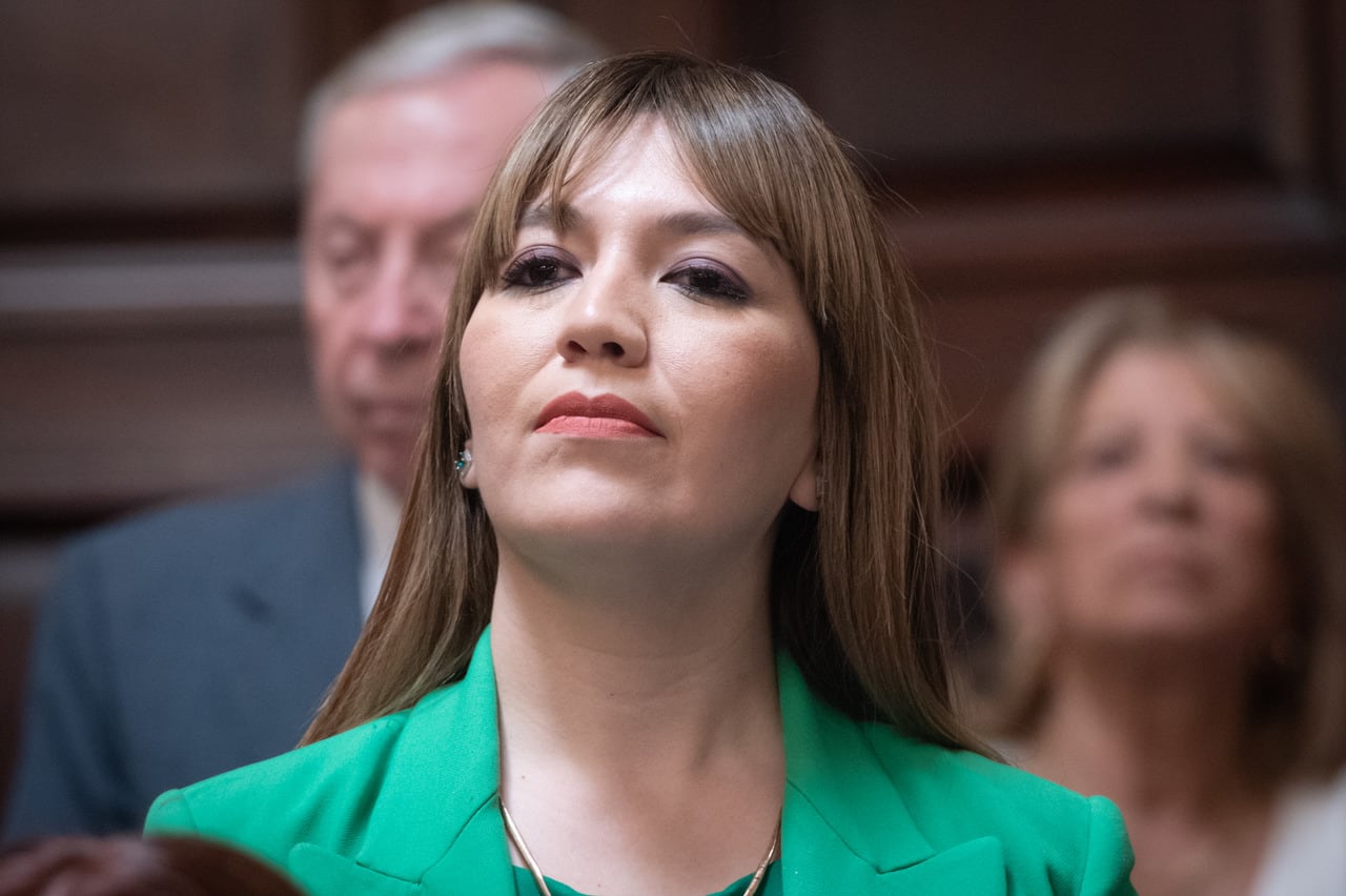 La diputada Janina Ortiz, al momento de su jura

Foto: Ignacio Blanco / Los Andes