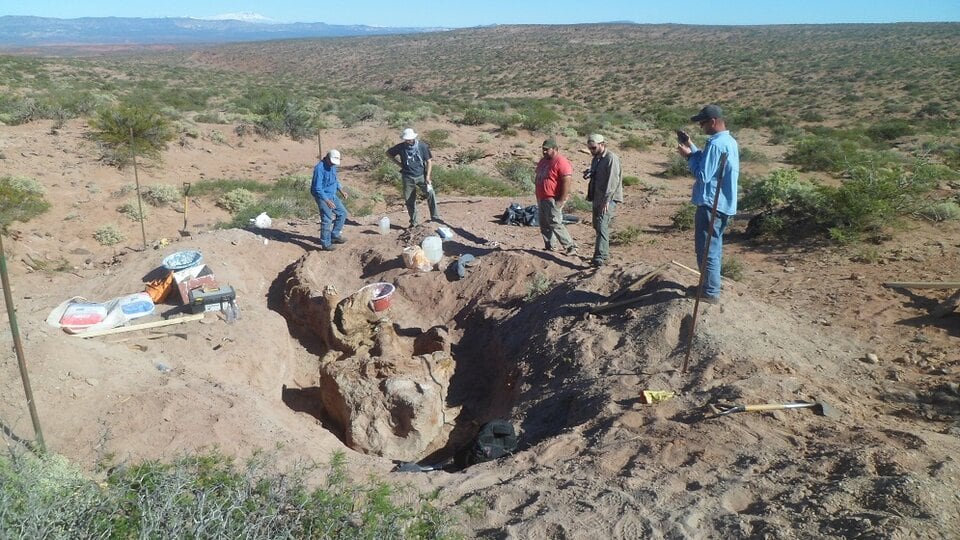 Investigadores trabajando en el lugar. Foto: Gentileza CONICET