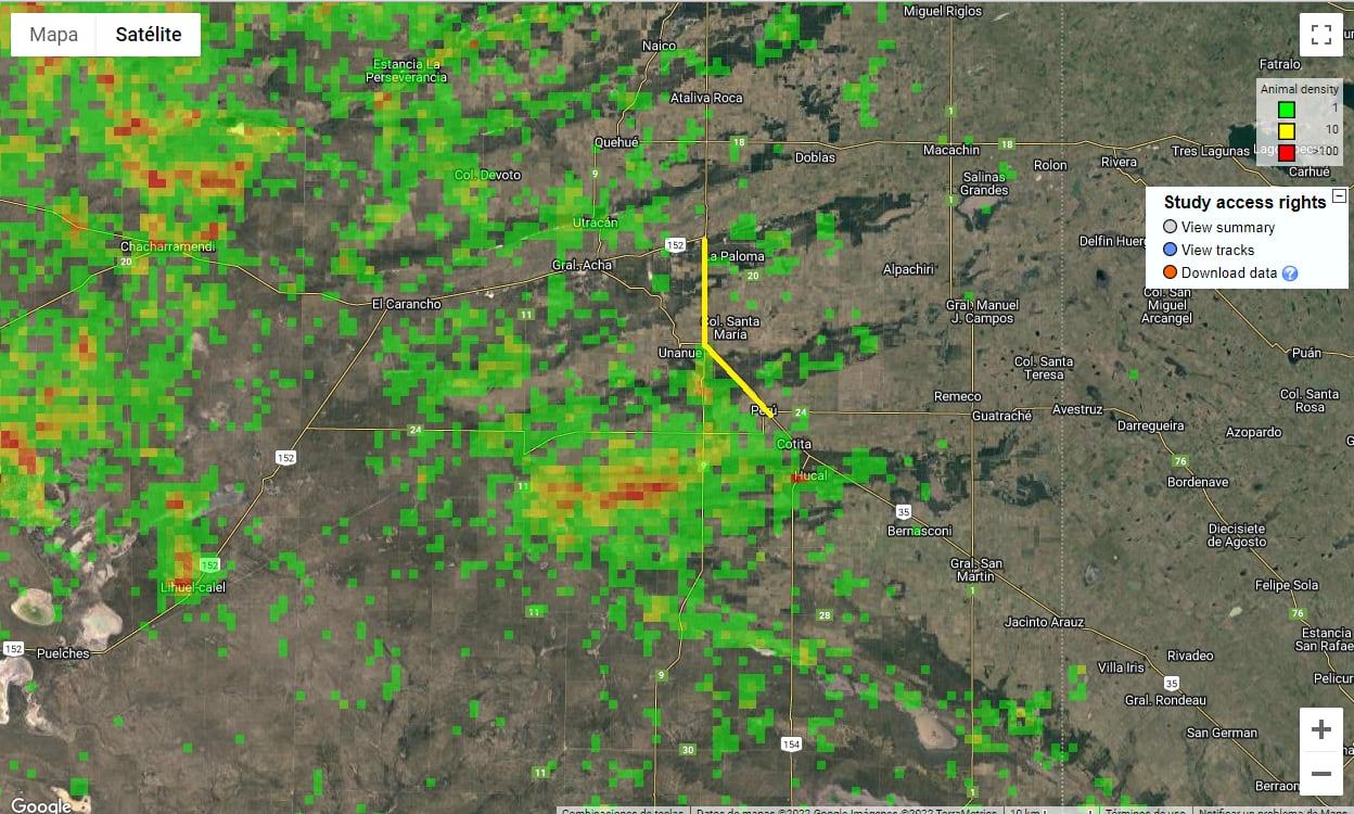 Localizaciones satelitales de águilas coronadas en la provincia de La Pampa. Las áreas rojas a verdes indican las áreas con mayor a menor cantidad de localizaciones de individuos y en amarillo la línea eléctrica proyectada entre las localidades de Padre Buodo y Perú en el sur de la provincia de La Pampa.