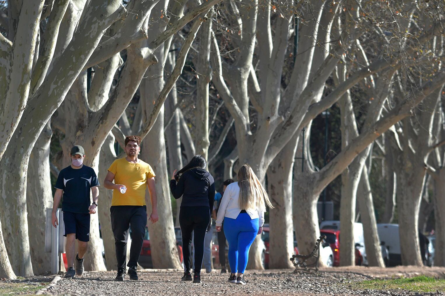 Otros mendocinos prefirieron trotar debajo de los grandes plátanos. 
Foto: Orlando Pelichotti