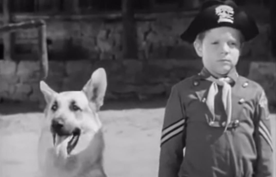 Lee Aaker en "Rin Tin Tin". (SCREEN GEMS TELEVISION)