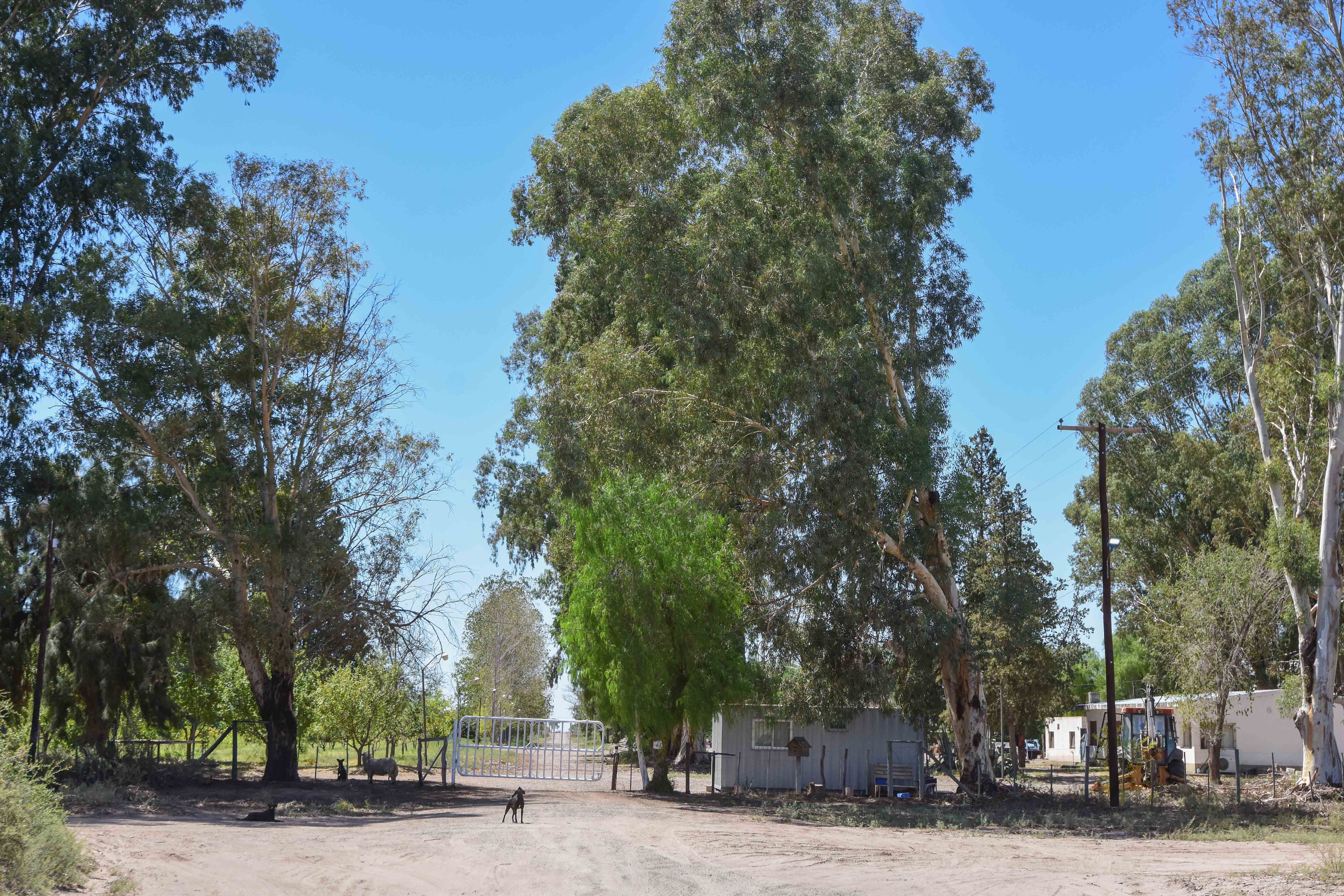 A una semana del femicidio en Nueva California, la comunidad surcoreana vuelve a la normalidad laboral en el complejo donde residen y trabajan

Foto: Mariana Villa / lLos Andes