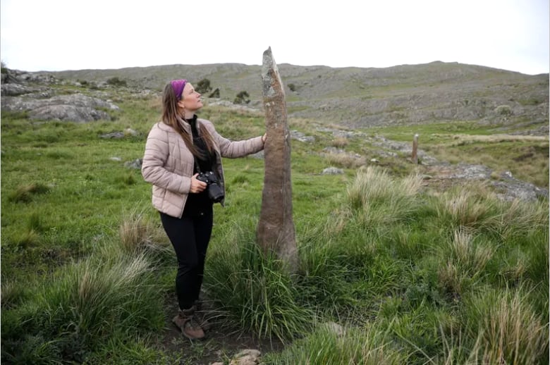 Menhires en el Sur de la Provincia de Buenos Aires, prueba que alimenta las versiones que los vikingos llegaron hasta el lugar. Foto: La Nación.