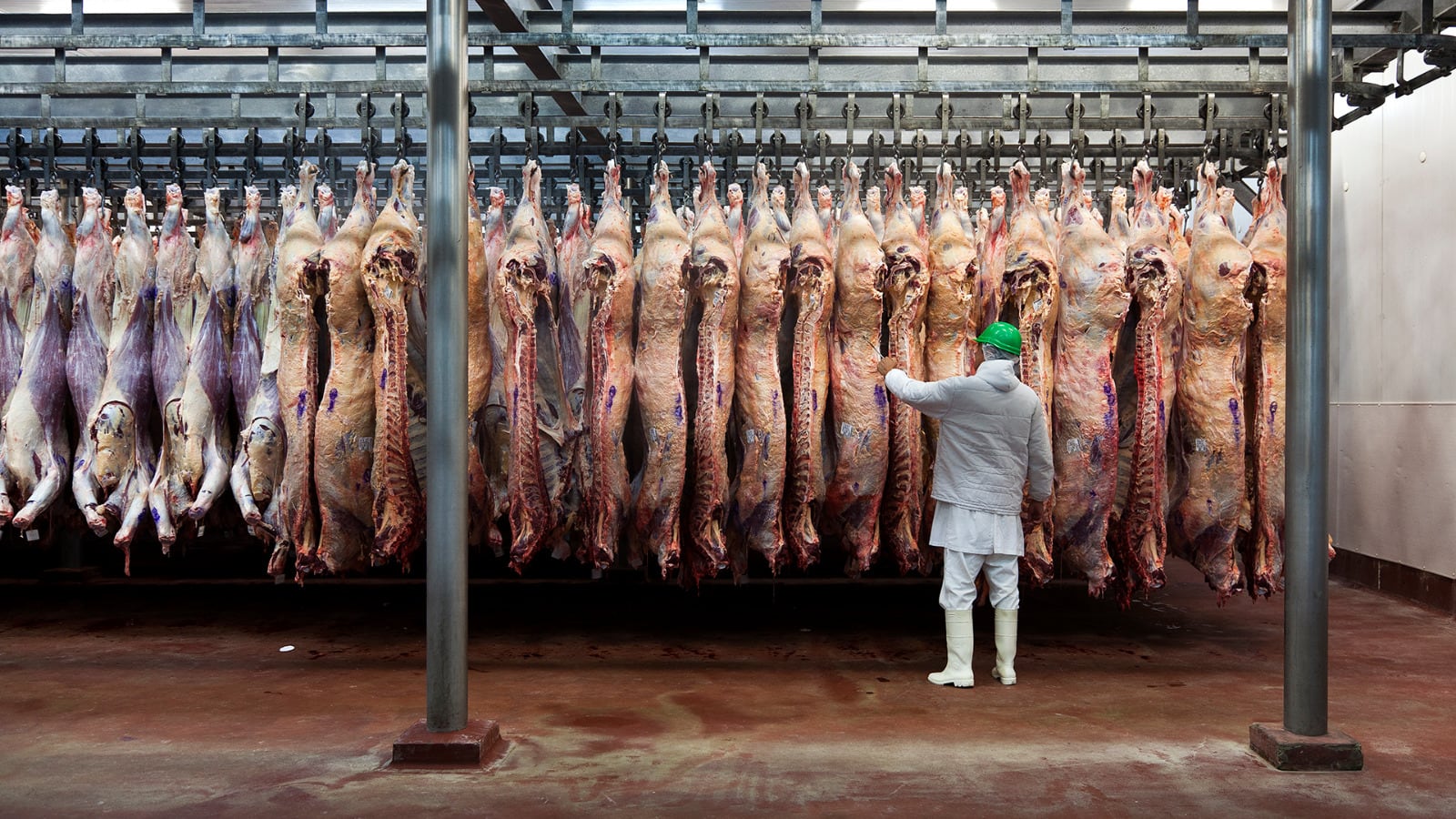 El Gobierno nacional liberó la exportación de carne vacuna. (Gentileza archivo: Senasa)