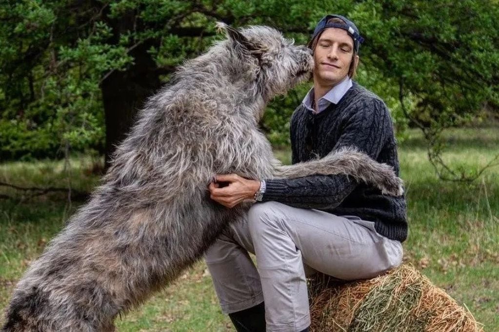 Diego Ramos y sus perros gigantes que enamoran en Instagram. Messi e Iván de Pineda se suman a la tendencia