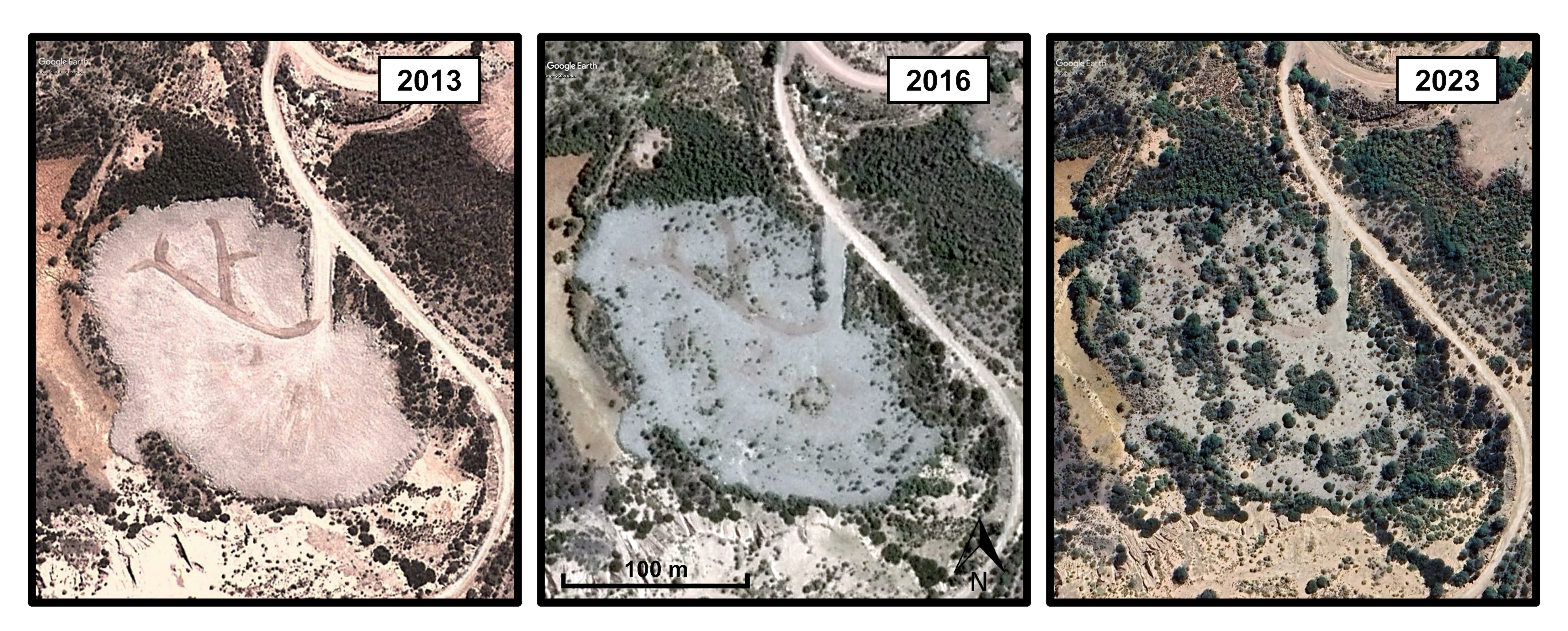 Seguimiento de la cobertura vegetal durante años, mediante imágenes satelitales, en el Dique DN1, Complejo Minero Fabril San Rafael - Sitio Sierra Pintada. Fuente: Google Earth Pro