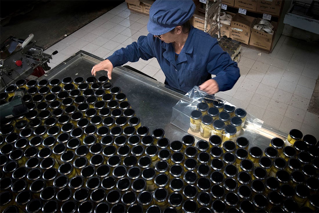 En la fábrica de conservas Angior, trabajan 70 operarios de planta y muchos trabajadores temporales. Foto: Orlando Pelichotti.