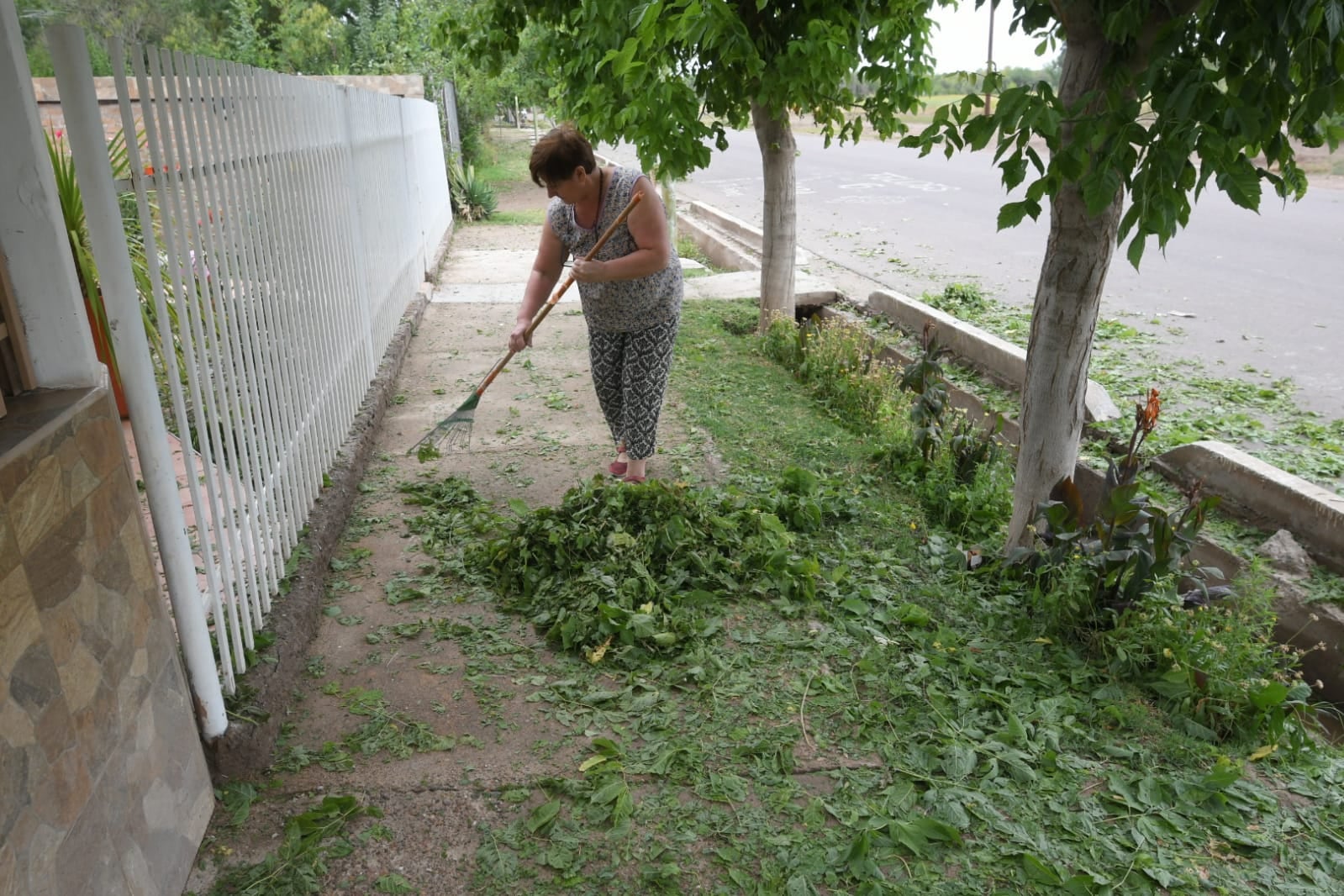 En 5 minutos, productores del Este perdieron el 70% de su cosecha por el granizo. Foto: Ignacio Blanco / Los Andes.