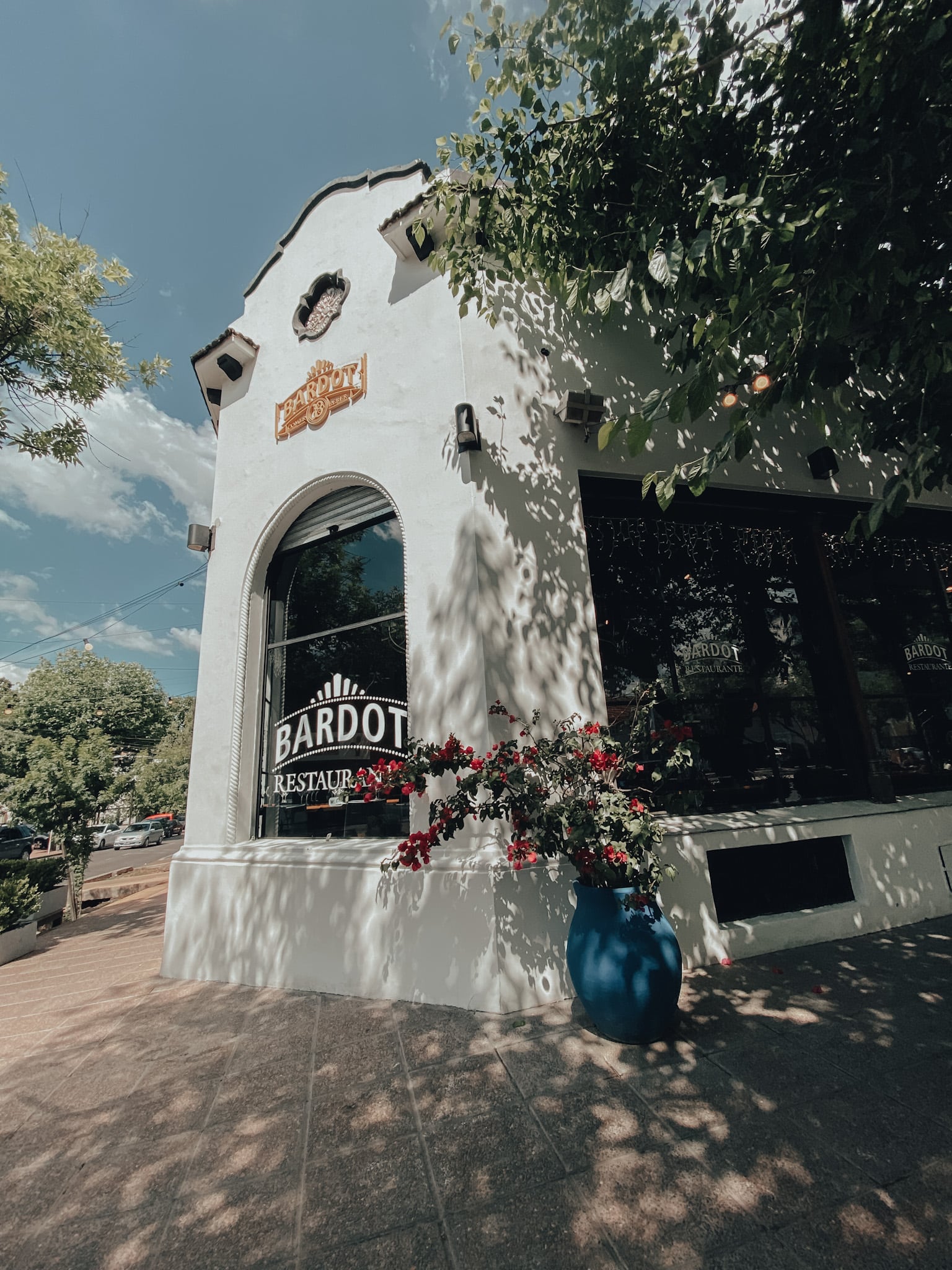 Esquina blanca de una hermosa arboleda