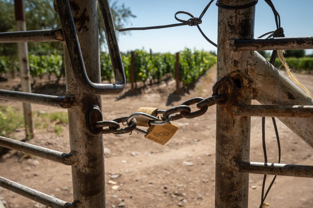 La inseguridad rural es una de las grandes preocupaciones del agro mendocino. - Foto: Ignacio Blanco / Los Andes 