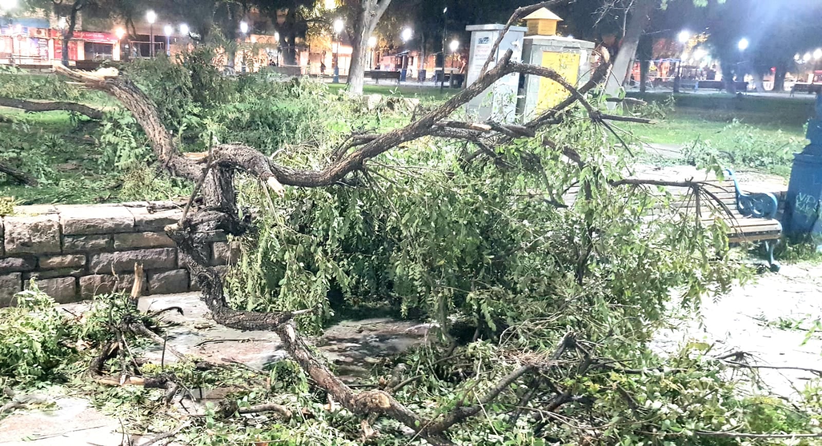 Ramas en la plaza Independencia tras el viento Zonda (Orlando Pelichotti / Los Andes)