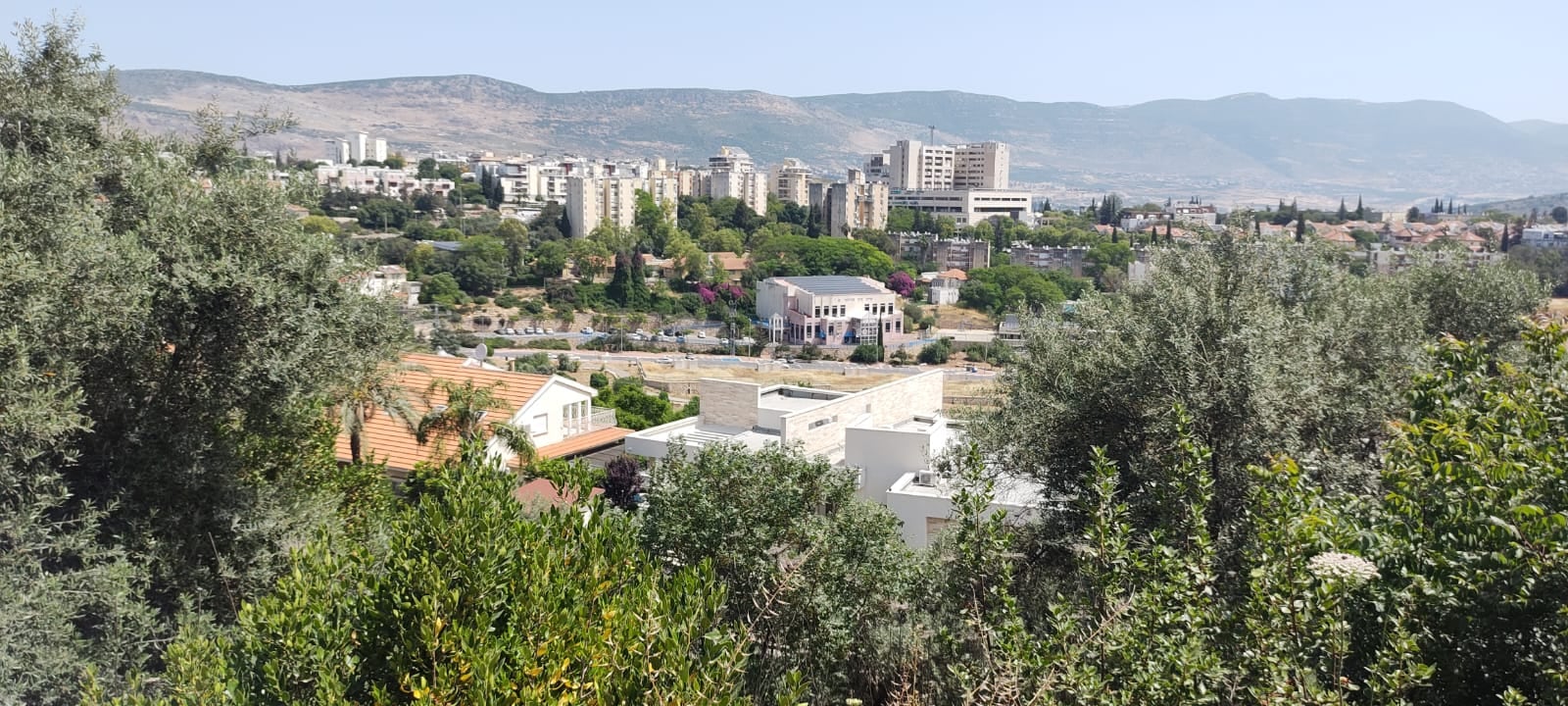 Vista de Carmiel, en el centro-norte de Israel (Gentileza)