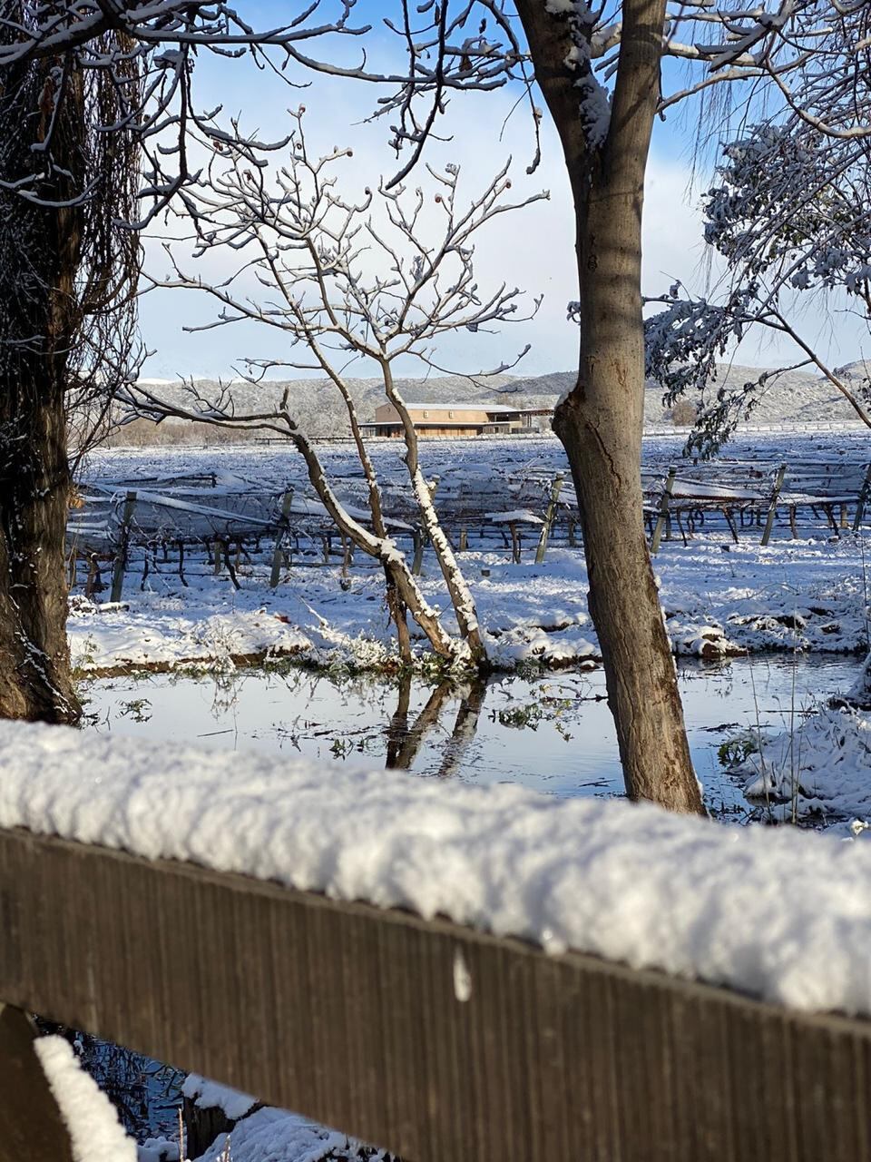 Tupungato amaneció cubierto de nieve y por el hielo en la calzada muchas rutas estuvieron cerradas varias horas.