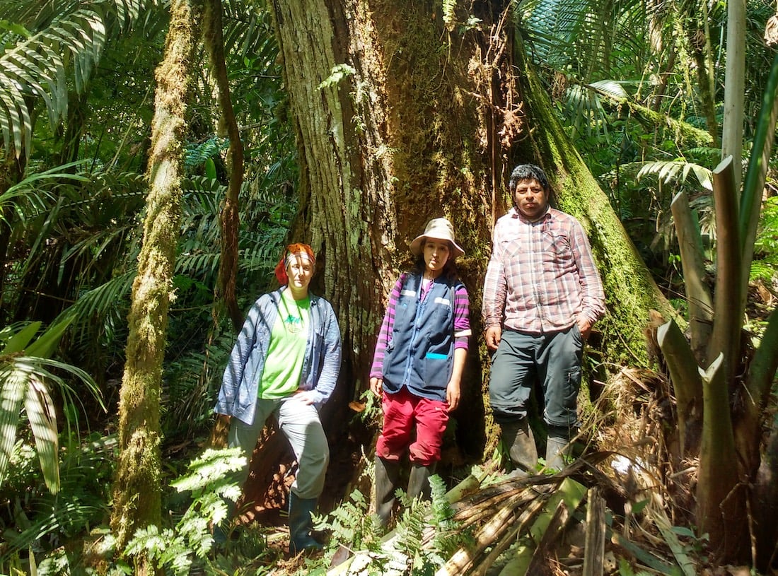 ​La doctora María Eugenia Ferrero (izq) trabajando en los bosques montanos junto a colegas peruanos.