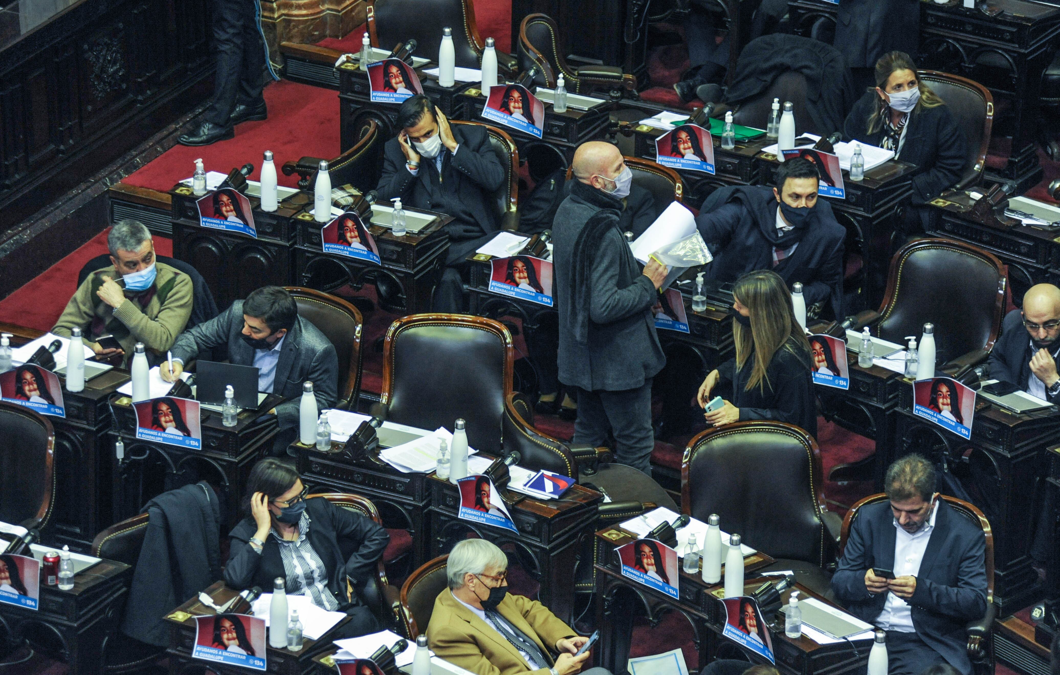 Sesión en la cámara de Diputados. - Foto Federico Lopez Claro