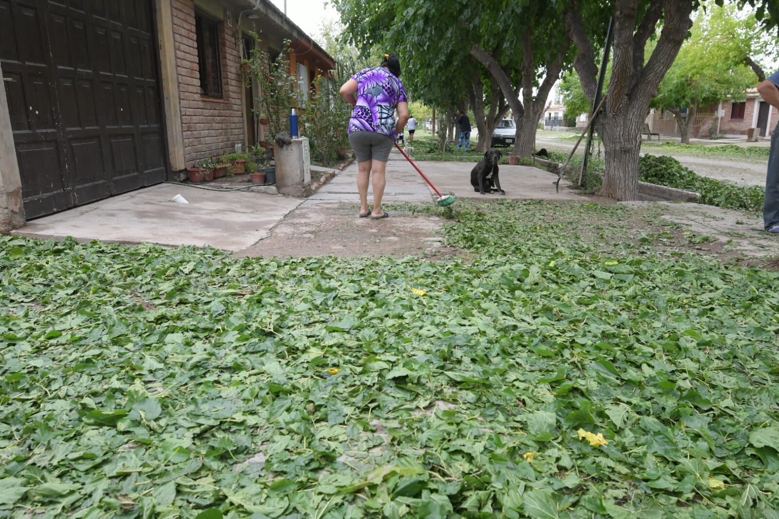 En 5 minutos, productores del Este perdieron el 70% de su cosecha por el granizo. Foto: Ignacio Blanco / Los Andes.