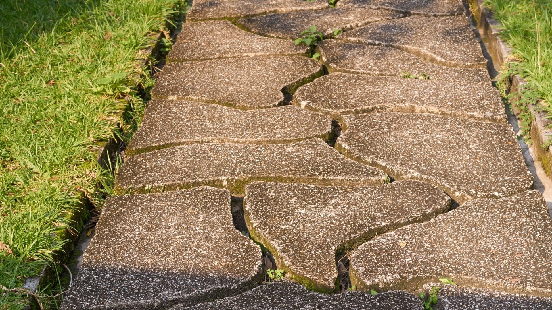 Jardinería