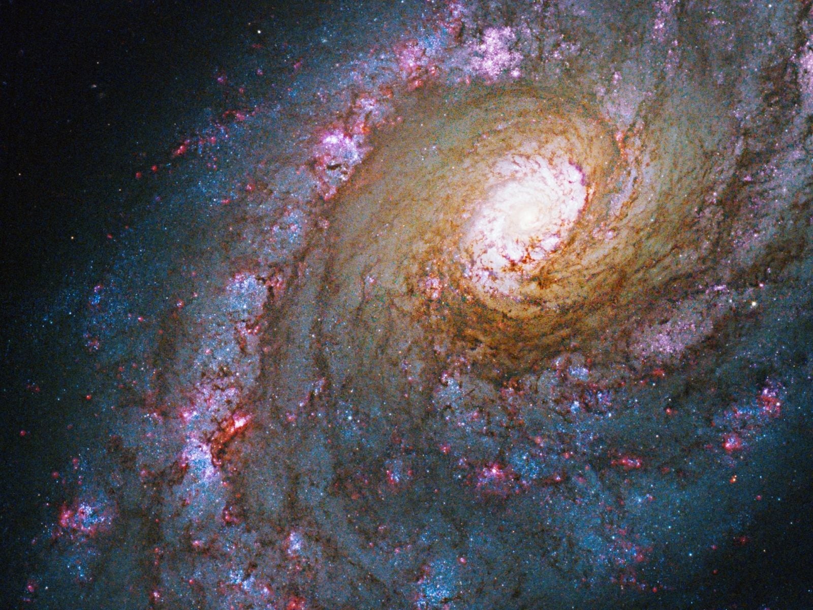 NGC 5248