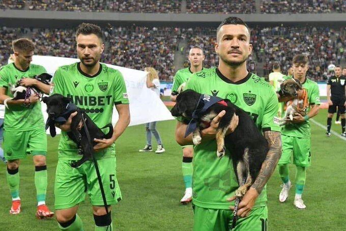 En Rumania promocionan la adopción de perros de la calle, a través del fútbol.