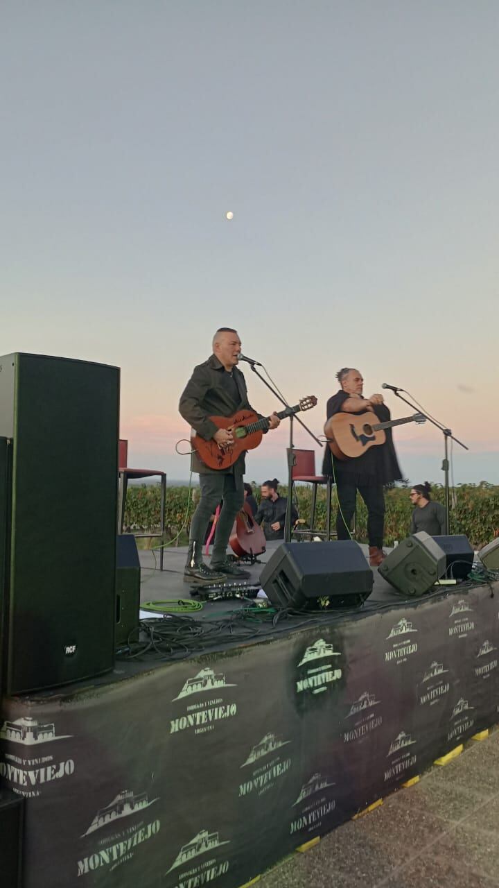 Marcelo Pelleriti y Fernando Ruiz Díaz en pleno recital