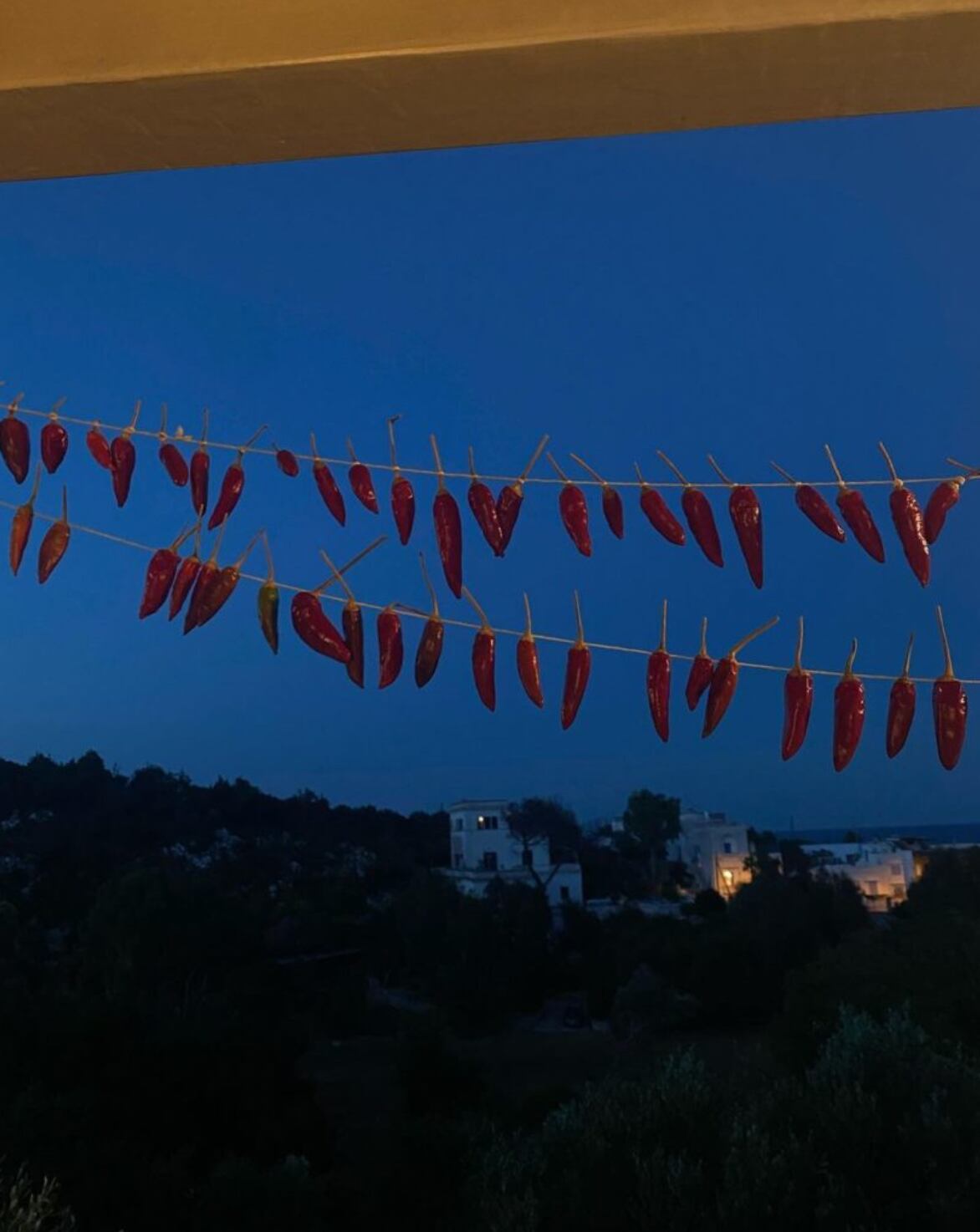 Las guirnaldas decoraron todo el balcón.