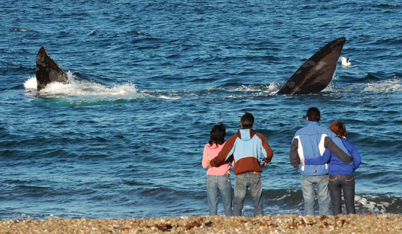 La playa El Doradillo queda en Puerto Madryn, a 13km del centro