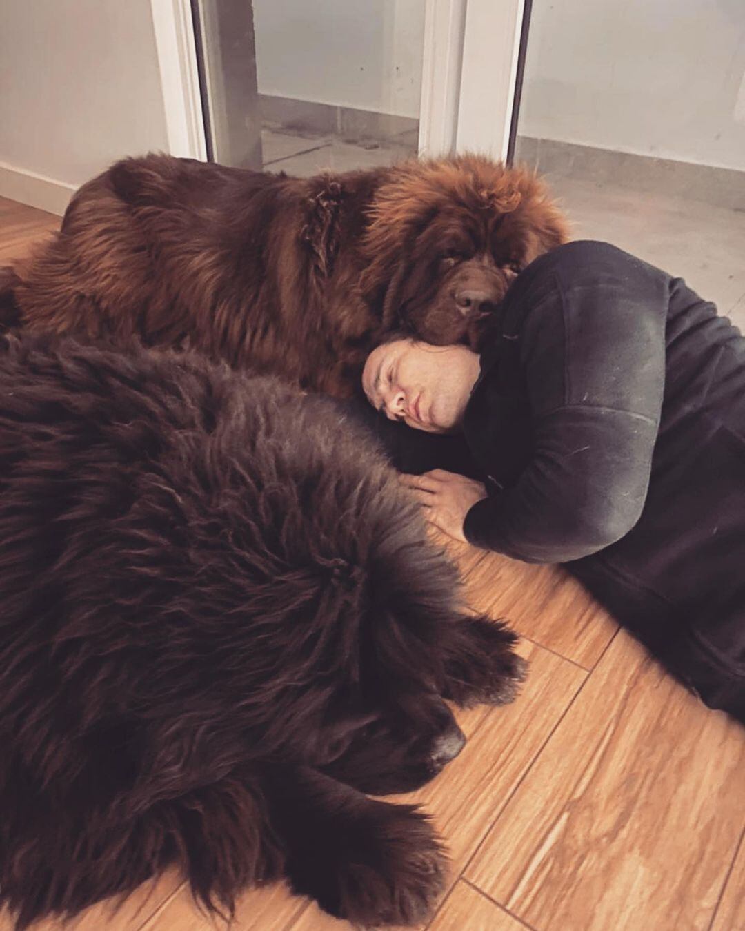 Diego Ramos y sus perros gigantes que enamoran en Instagram. Messi e Iván de Pineda se suman a la tendencia