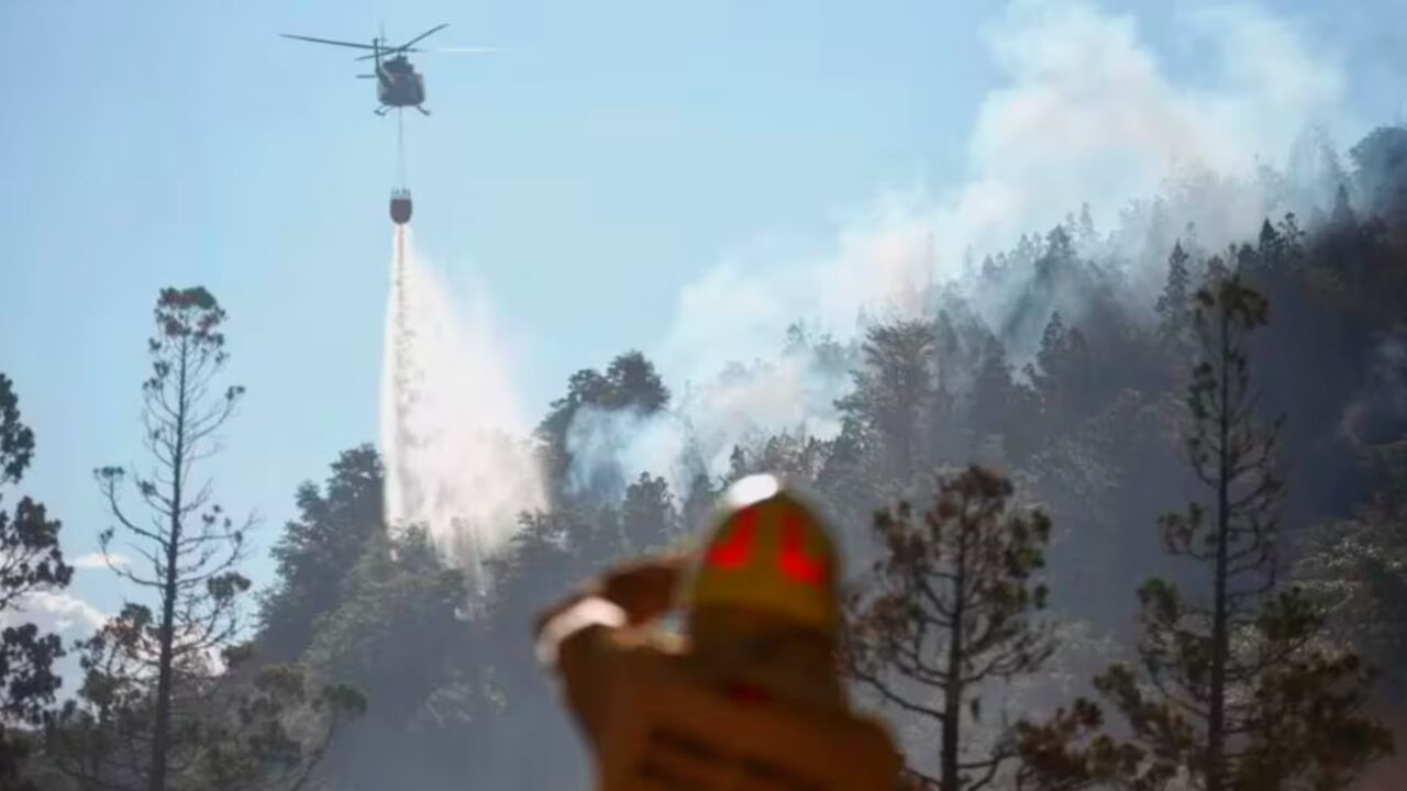 Incendio forestal en el Parque Nacional Los Alerces, en Chubut. Foto: Télam