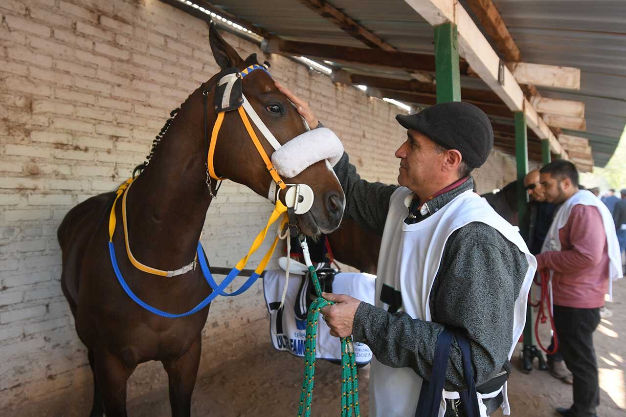 

Foto: José Gutierrez / Los Andes