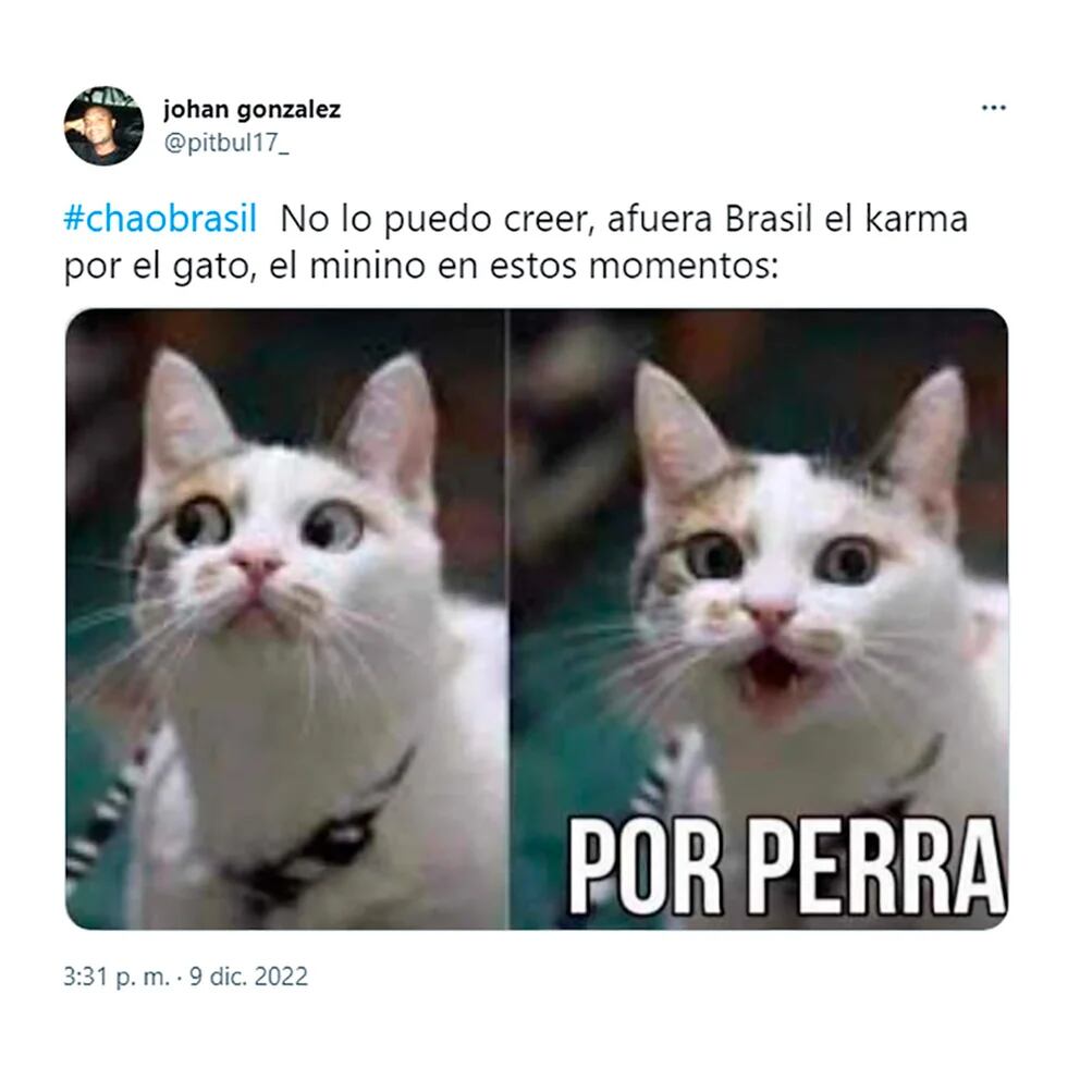 Los mejores memes de la inesperada eliminación de Brasil del Mundial Qatar 2022.