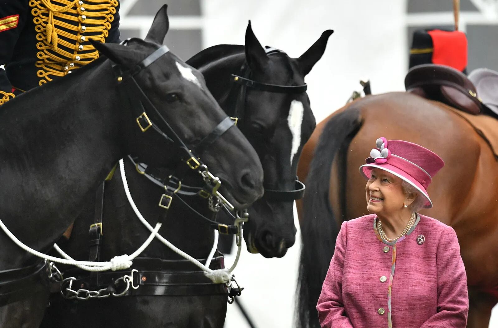 La reina Isabel II también sentía afición por los caballos. Foto: Web