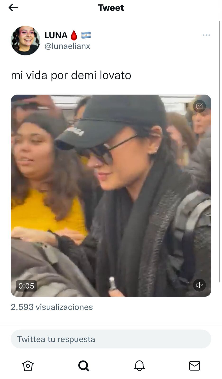 Demi Lovato arribó a Buenos Aires y revolicionó Ezeiza.