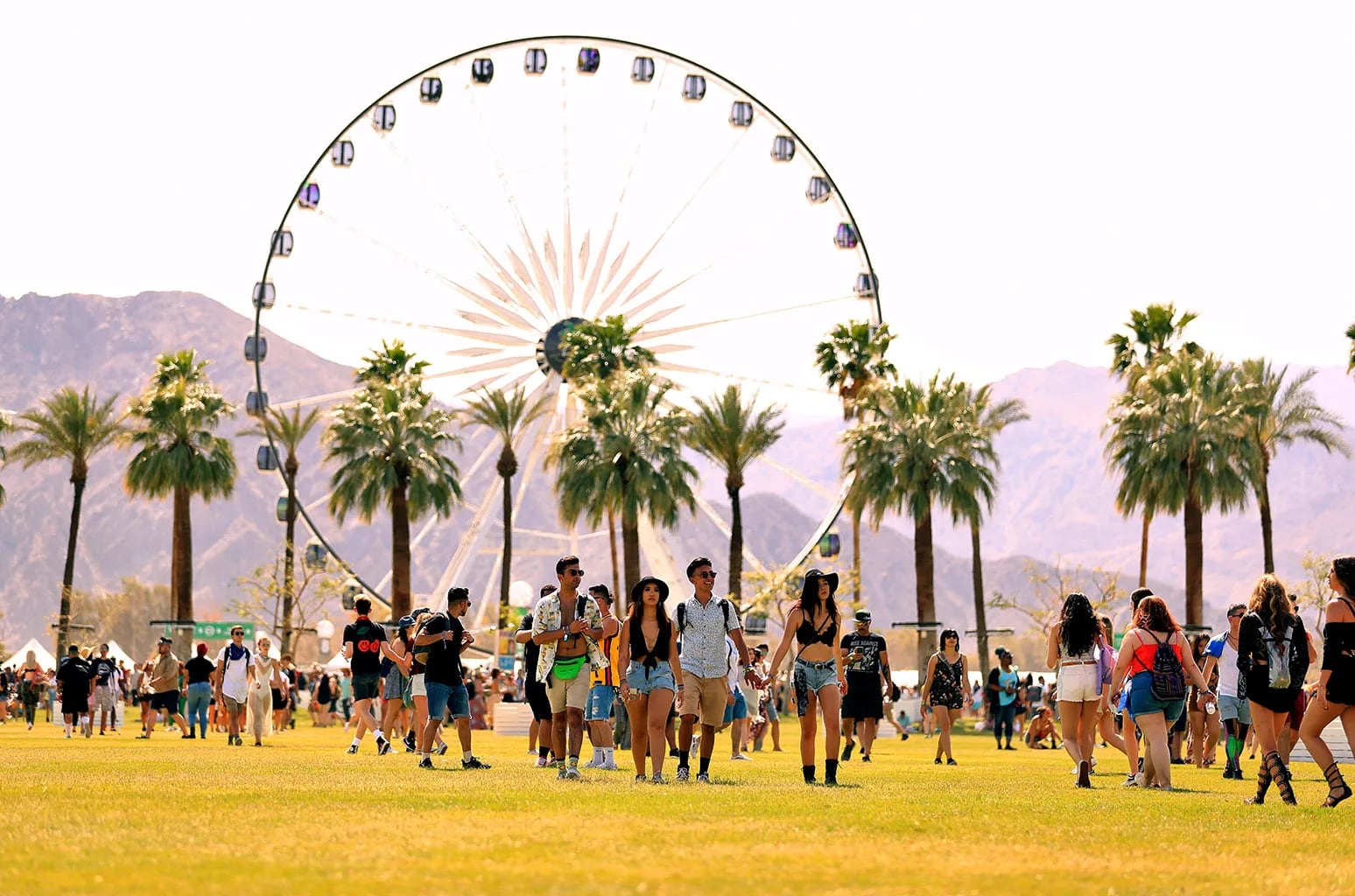 Curiosidades sobre Festival Coachella. / WEB