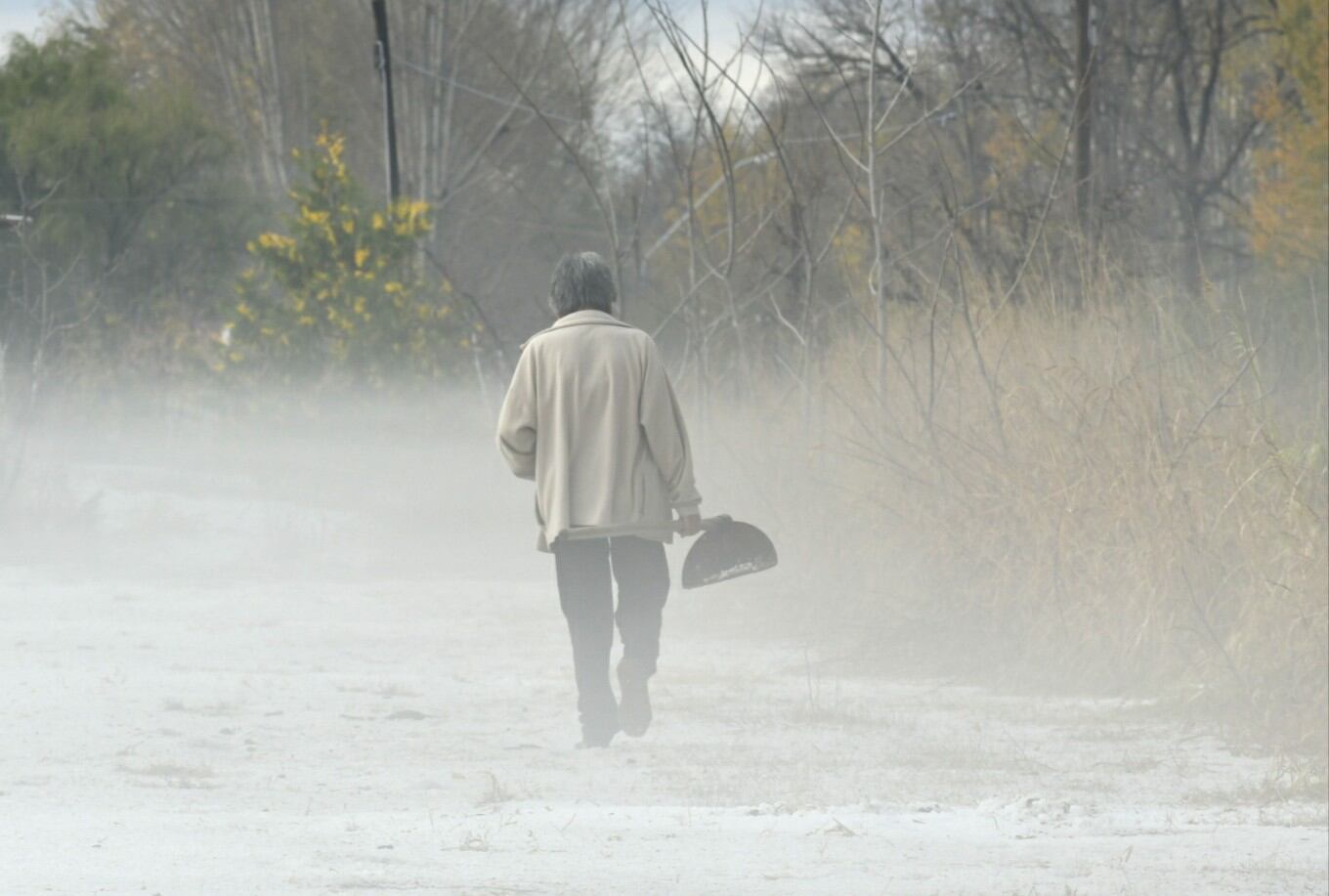 La productora Alicia, entre la lechuga afectada por el granizo. Foto/Orlando Pelicchoti/ Los Andes