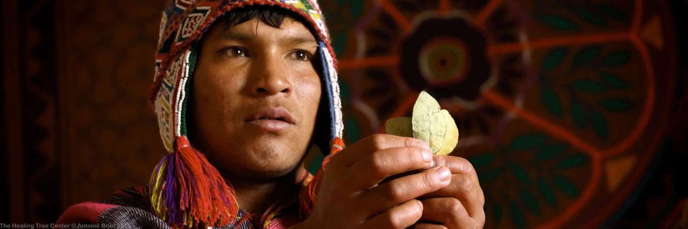 Lectura de hoja de coca