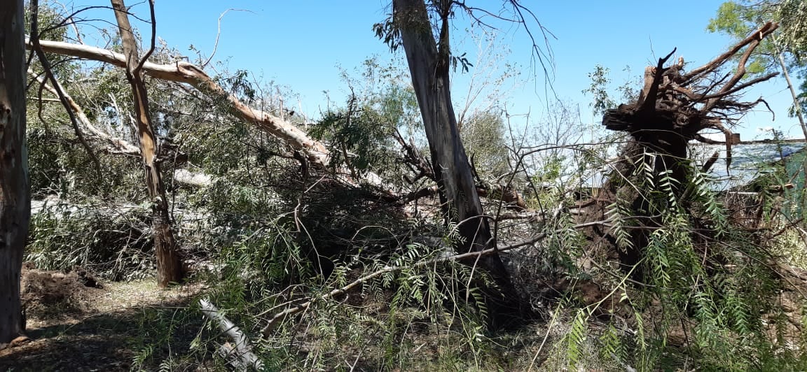 Foto: Gentileza / Municipalidad de San Rafael