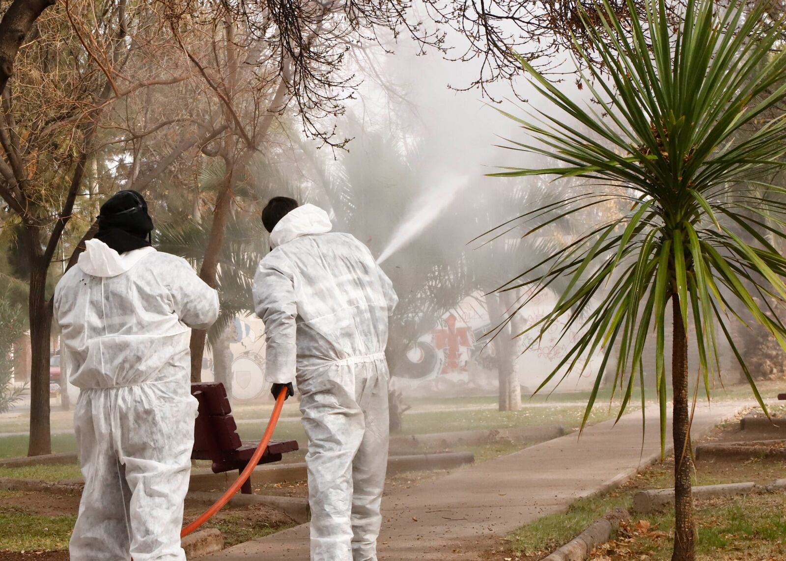 Prevención del dengue en Maipú