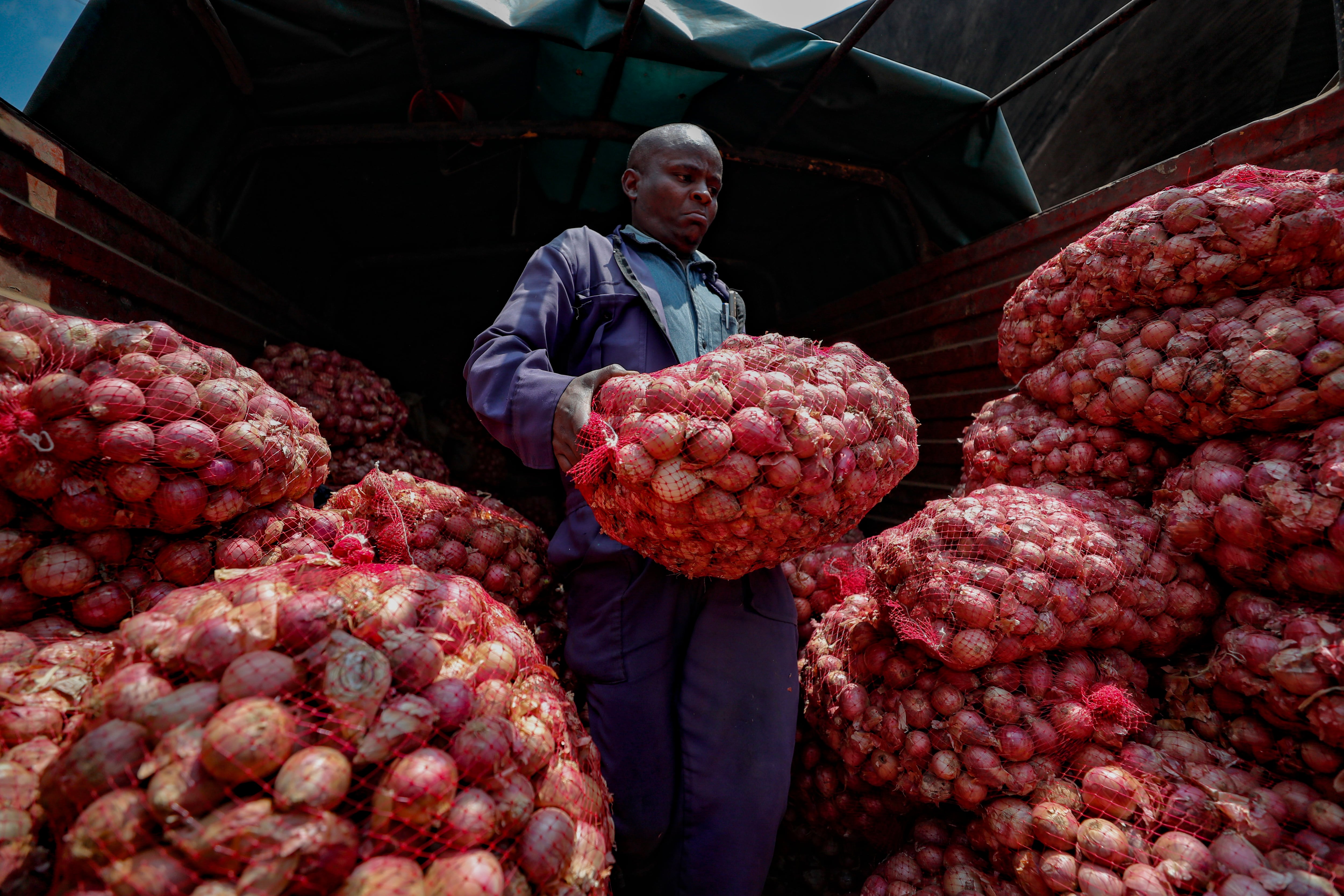 Timothy Kinyua descarga sacos de cebollas etíopes en un mercado al aire libre en Nairobi, Kenia, el martes 12 de septiembre de 2023. Las restricciones sobre la exportación de ese vegetal en la vecina Tanzania han multiplicado por tres los precios en Kenia. (AP Foto/Brian Inganga)