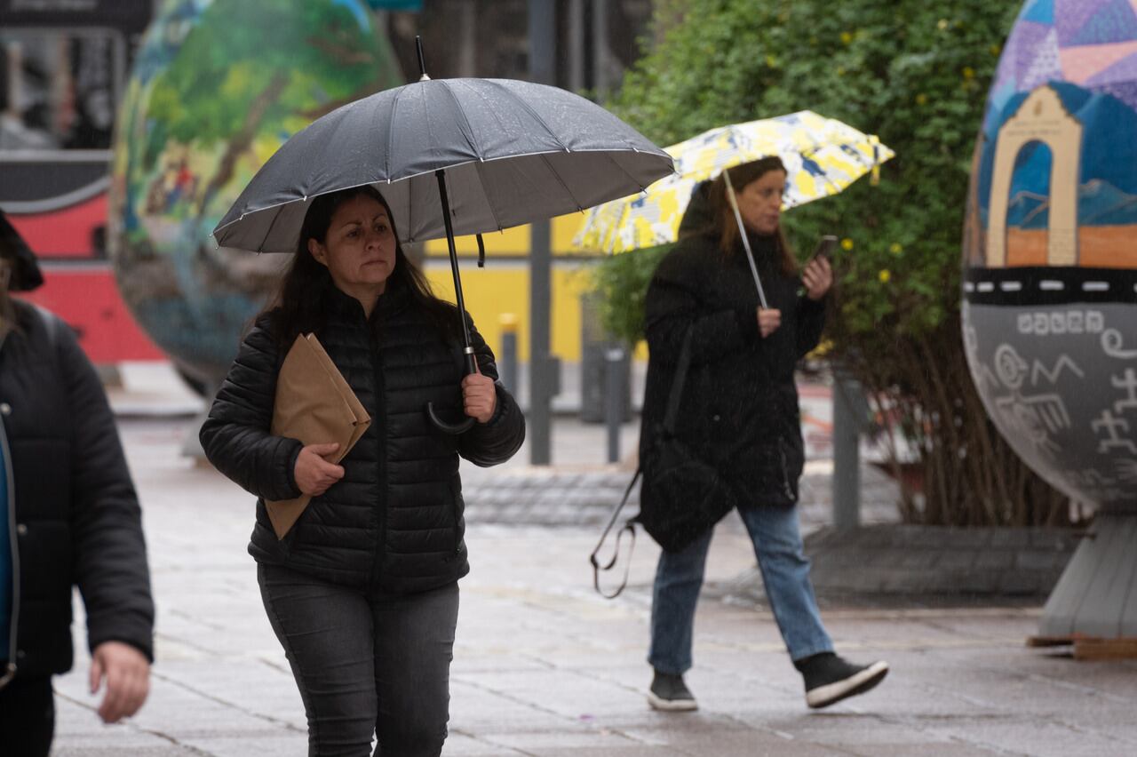 Según las proyecciones, Mendoza tiene altas chances de tener un verano más caluroso y con más lluvias de lo normal. 

Foto: Ignacio Blanco / Los Andes 


