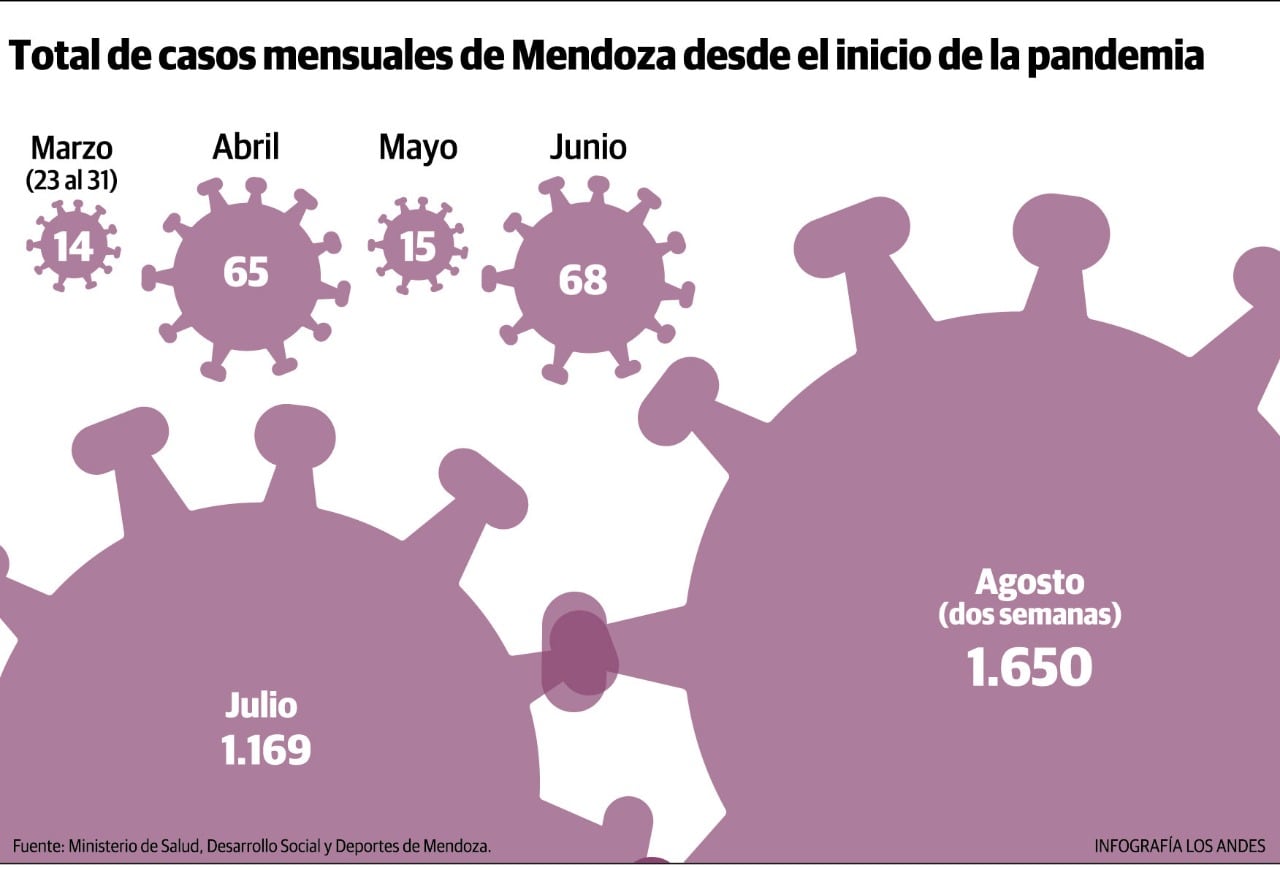 Total de casos mensuales de Mendoza desde el inicio de la pandemia. Gustavo Guevara