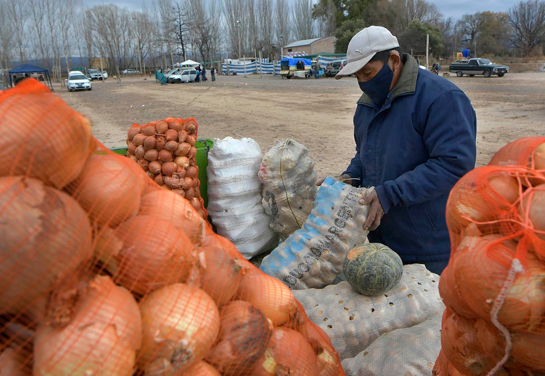 Cientos de pequeños productores y chacarareros comercializan sus frutas y verduras que ellos cultivan y cosechan, dentro de la feria al aire libre, en la localidad Ugarteche, en Luján de Cuyo. En la foto el chacarero Pedro Choquevilca (71) - Foto: Orlando Pelichotti / Los Andes