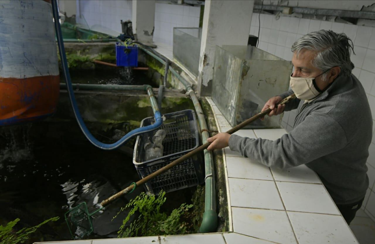 Cierran el Acuario Municipal para crear un Centro de Conservación de la Biodiversidad