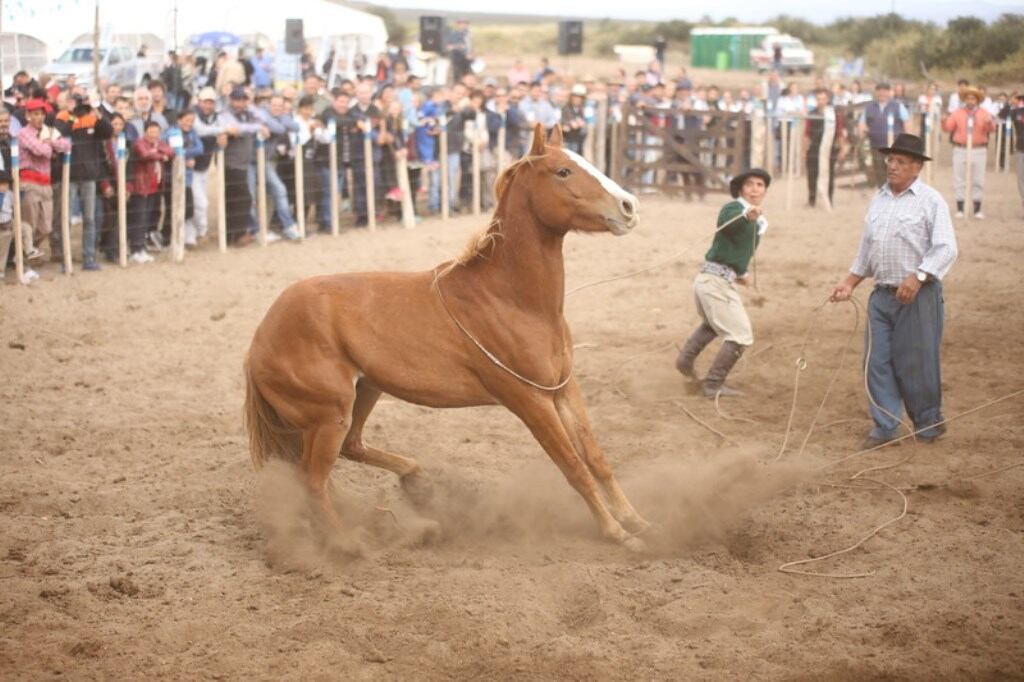 Este sábado se realiza el Día de Campo y se presenta oficialmente las actividades de la Fiesta Nacional de la Ganadería.