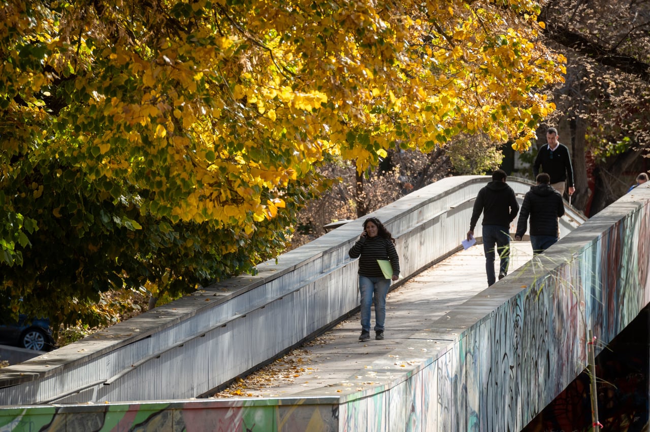 Parque Cívico, otoño en Mendoza 

Foto: Ignacio Blanco / Los Andes 