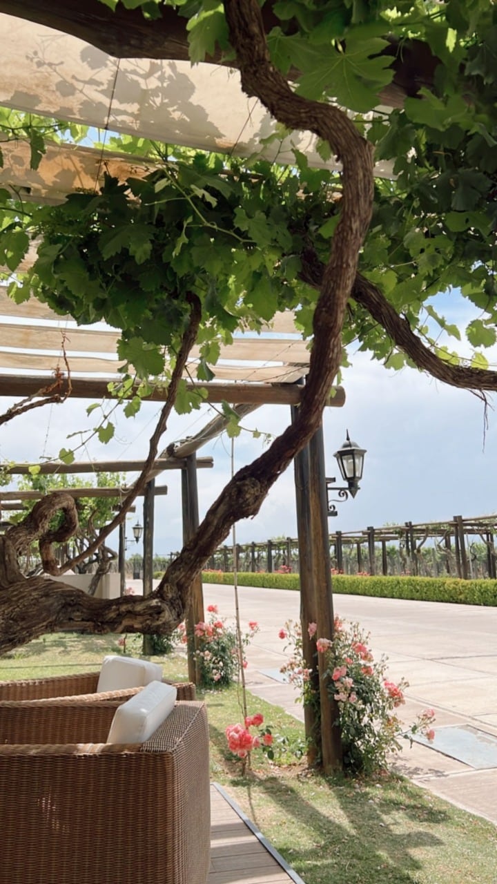 Camila Homs visitó una bodega mendocina y compartió una imagen del paisaje.