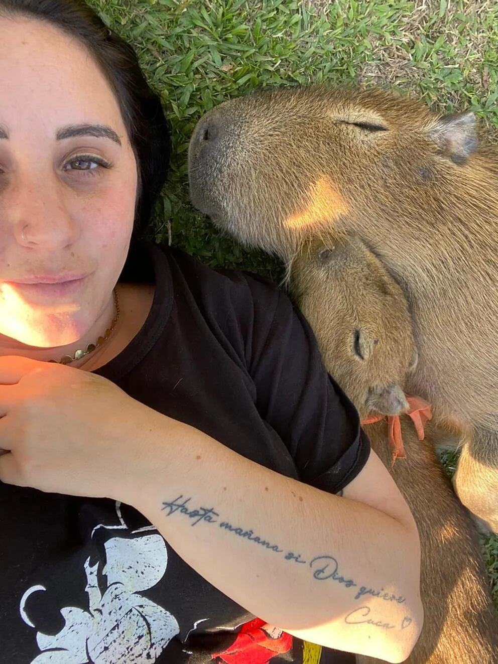 Siesta en el pasto con los roedores más grandes del planeta. Foto: Web