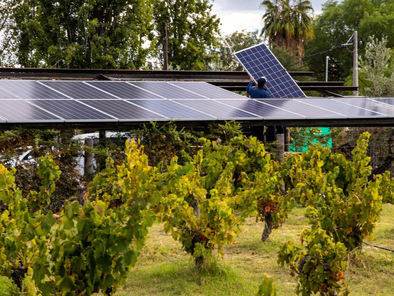 Gentileza Clúster de Energías Renovables de Mendoza